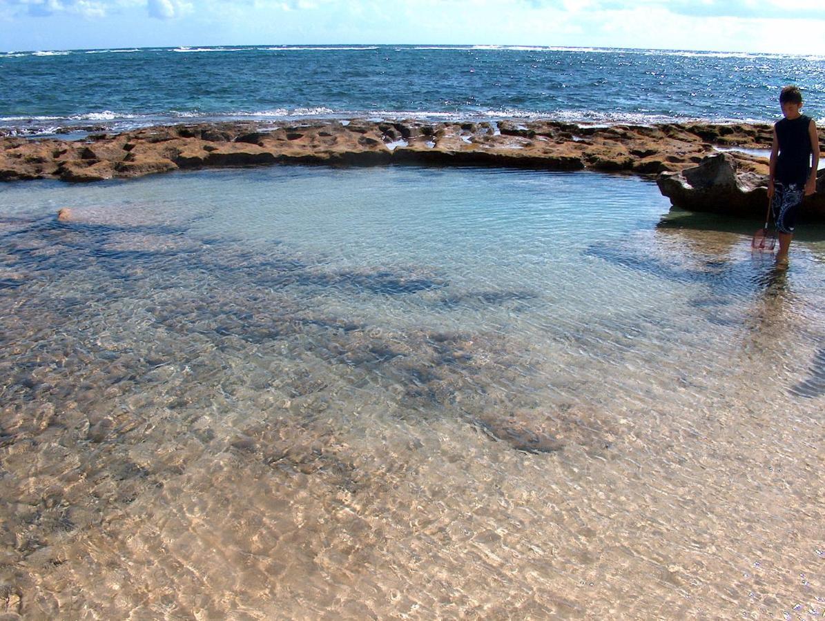 Itʻs All About The Beach Villa Hau'ula Eksteriør bilde